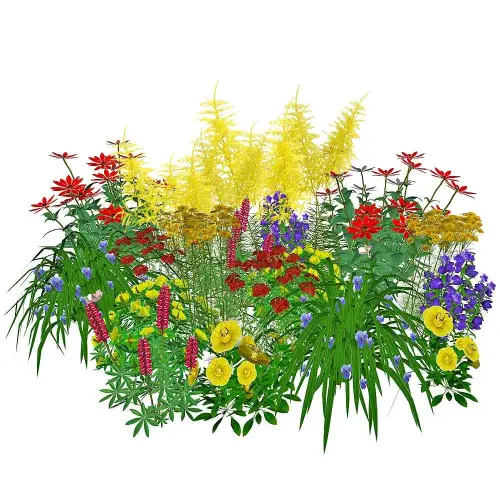 Stauden-Set: Teich-Umfeld, sonnig, halbhoch 20