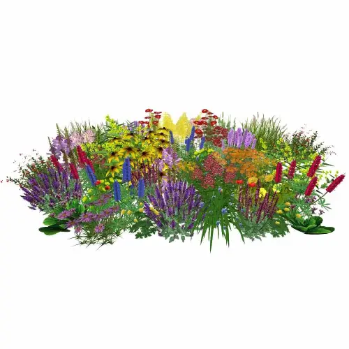 Teich-Umfeld, sonnig, halbhoch 50