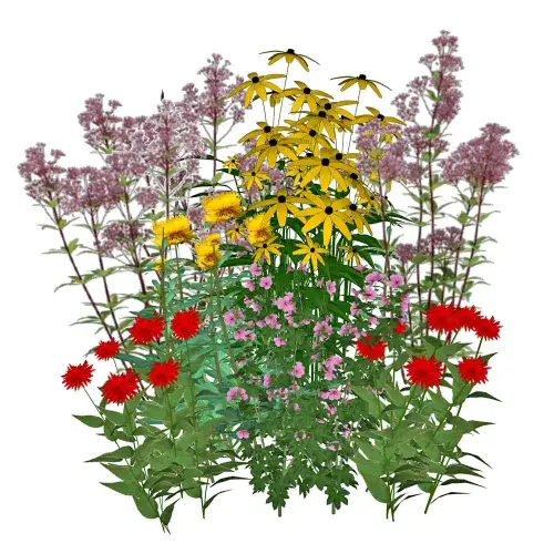 Teich-Umfeld, sonnig, hoch 10