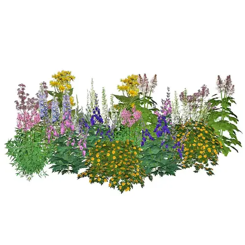 Sonnen-Stauden hoch 20