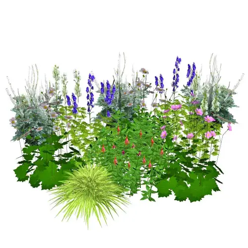 Halbschatten-Stauden mittelhoch Nr. 2