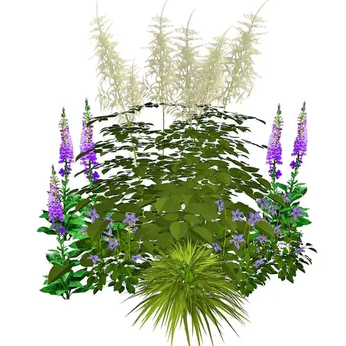 Halbschatten-Stauden mittelhoch Nr. 3