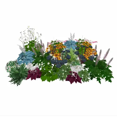 Halbschatten-Stauden 20