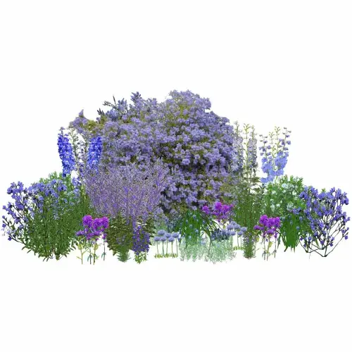 Die wiederkehrende blaue Pracht