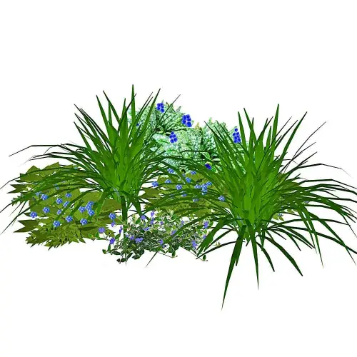 Rhododendron-Unterpflanzung blau