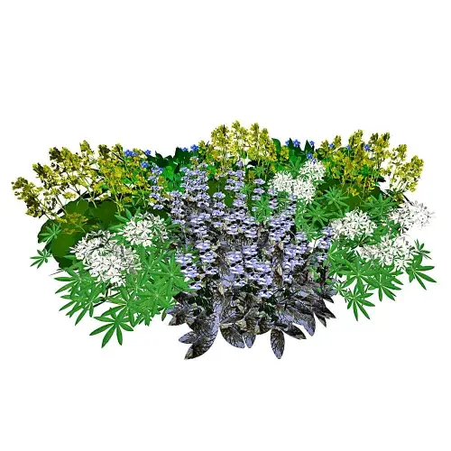Stauden-Schatten-Decke 10