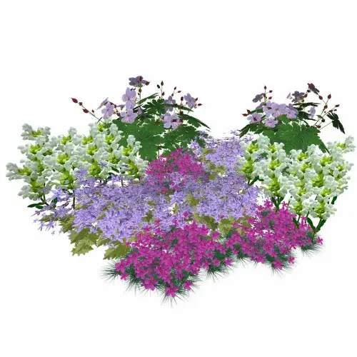 Stauden-Halbschatten-Decke 10