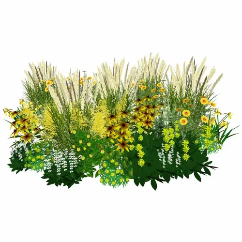 Präriestauden gelb-weiß