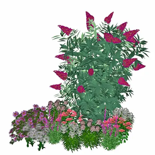 Schmetterlingsgarten, halbhoch