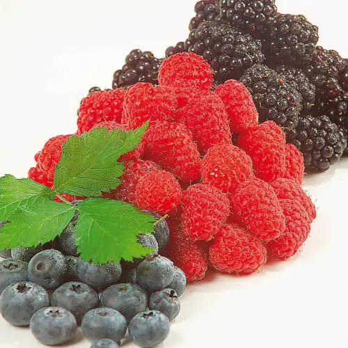 Naschbeeren-Sortiment