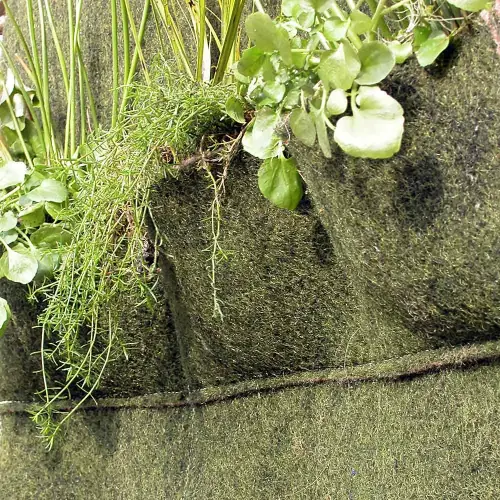 Pflanzen  für Taschenmatten