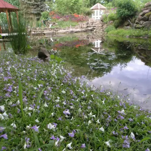 Ufermatten-Start-Pflanzung blau-weiß