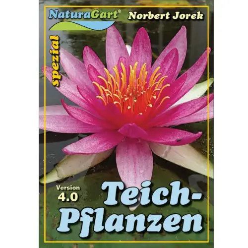 Anleitung für Teichpflanzen