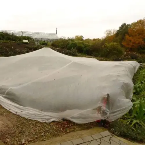 Komplettpaket-Laubschutznetz Set G