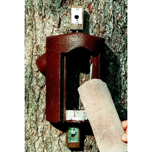 Artikelbild des Artikels “Baumläufer-Höhle “