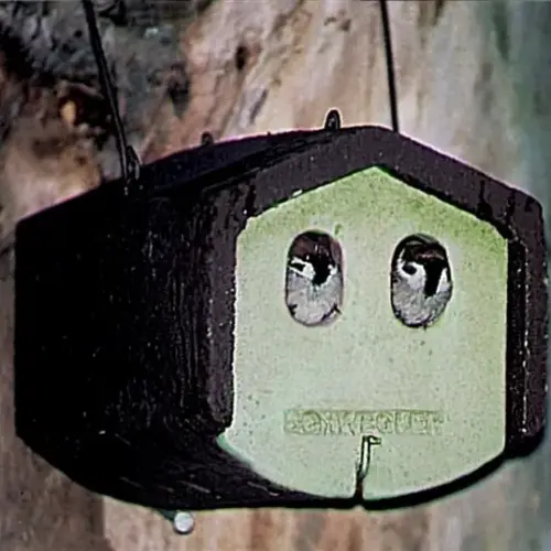 Artikelbild des Artikels “Sicherheits-Halbhöhle “