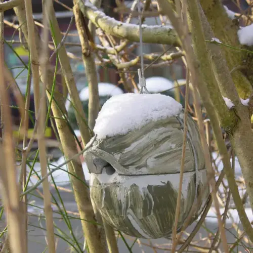 Artikelbild des Artikels “Zaunkönig-Kugel “