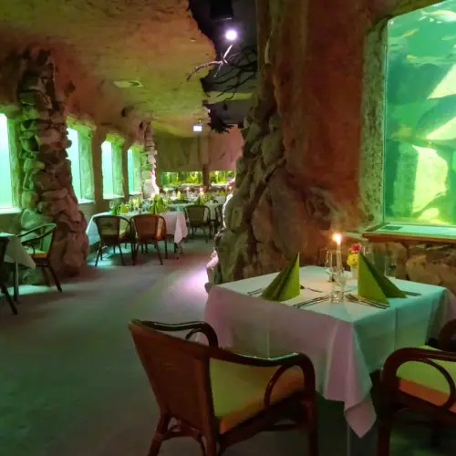 Artikelbild des Artikels “Candle-Light-Dinner “