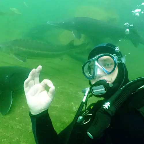 Mal wieder tauchen, Gutschein per Post