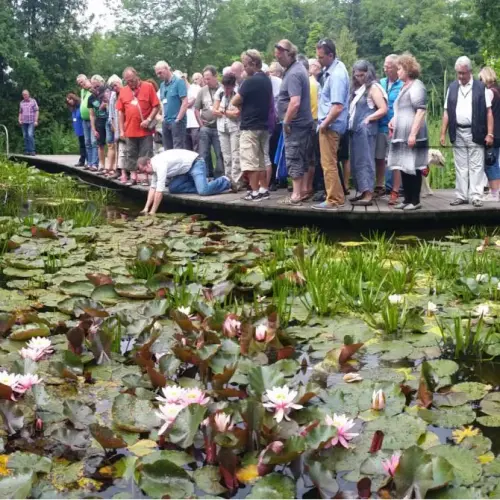 Artikelbild des Artikels “Seminar Teichpflege “
