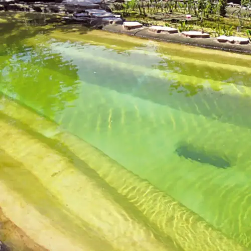 Schwimmteich 200 m³, preiswerte Bauweise