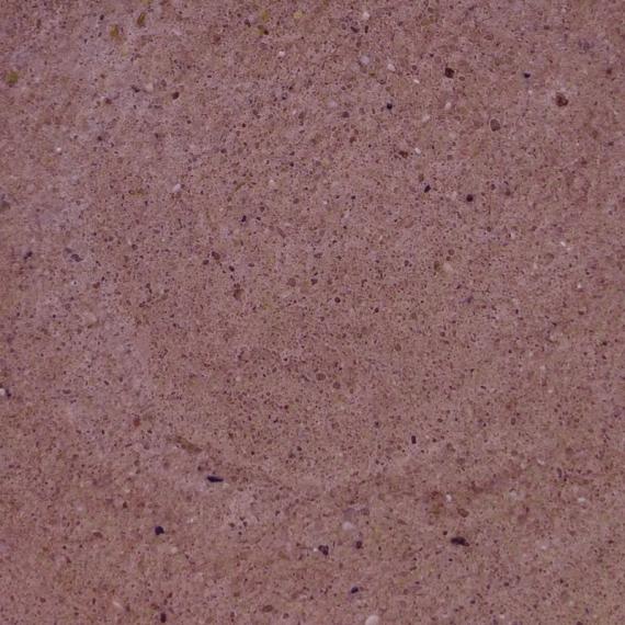 Teichbau-Mörtel Farbe dunkelbraun | 0,5 kg