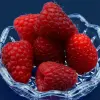 Artikelbild 2 des Artikels “Himbeere rot, spät “