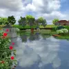 Artikelbild 2 des Artikels “Schwimmteich 600 m³, preiswerte Bauweise “