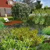 Artikelbild 2 des Artikels “Naturteich 
