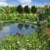 Artikelbild 2 des Artikels “Naturteich 