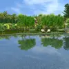 Artikelbild 3 des Artikels “Schwimmteich 800 m³, bessere Bauweise “