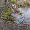 Artikelbild 4 des Artikels “Uferband 5 m mit Bodenanker “
