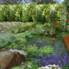 Artikelbild 4 des Artikels “Naturteich 