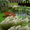 Artikelbild 4 des Artikels “Naturteich 