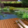 Artikelbild 4 des Artikels “Naturteich 