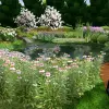 Artikelbild 4 des Artikels “Naturteich 