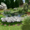 Artikelbild 4 des Artikels “Naturteich 