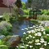 Artikelbild 4 des Artikels “Naturteich 