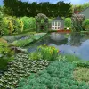 Artikelbild 4 des Artikels “Naturteich 