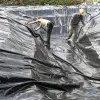 Artikelbild 5 des Artikels “NaturaGart PE Sicherungsfolie, 8 m breit “