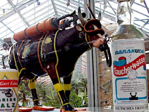 BARAKUDA / CMAS Tauchkurse im Unterwasserpark in Ibbenbüren