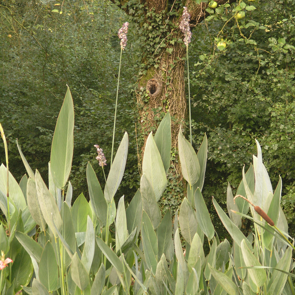 Artikelbild 2 des Artikels “Thalia “