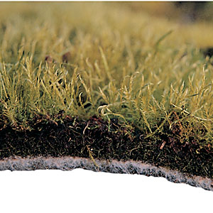 Artikelbild 2 des Artikels “Ufermatten-Moos inkl. Startdünger “