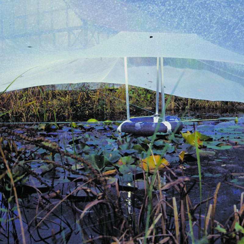 Artikelbild 2 des Artikels “Komplettpaket-Laubschutznetz Set E “