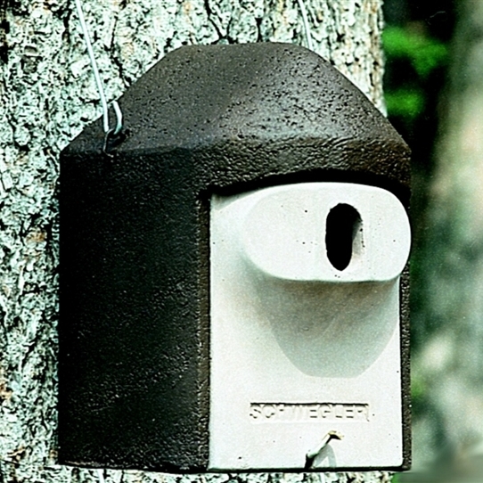 Artikelbild 2 des Artikels “Sicherheits-Höhle oval “