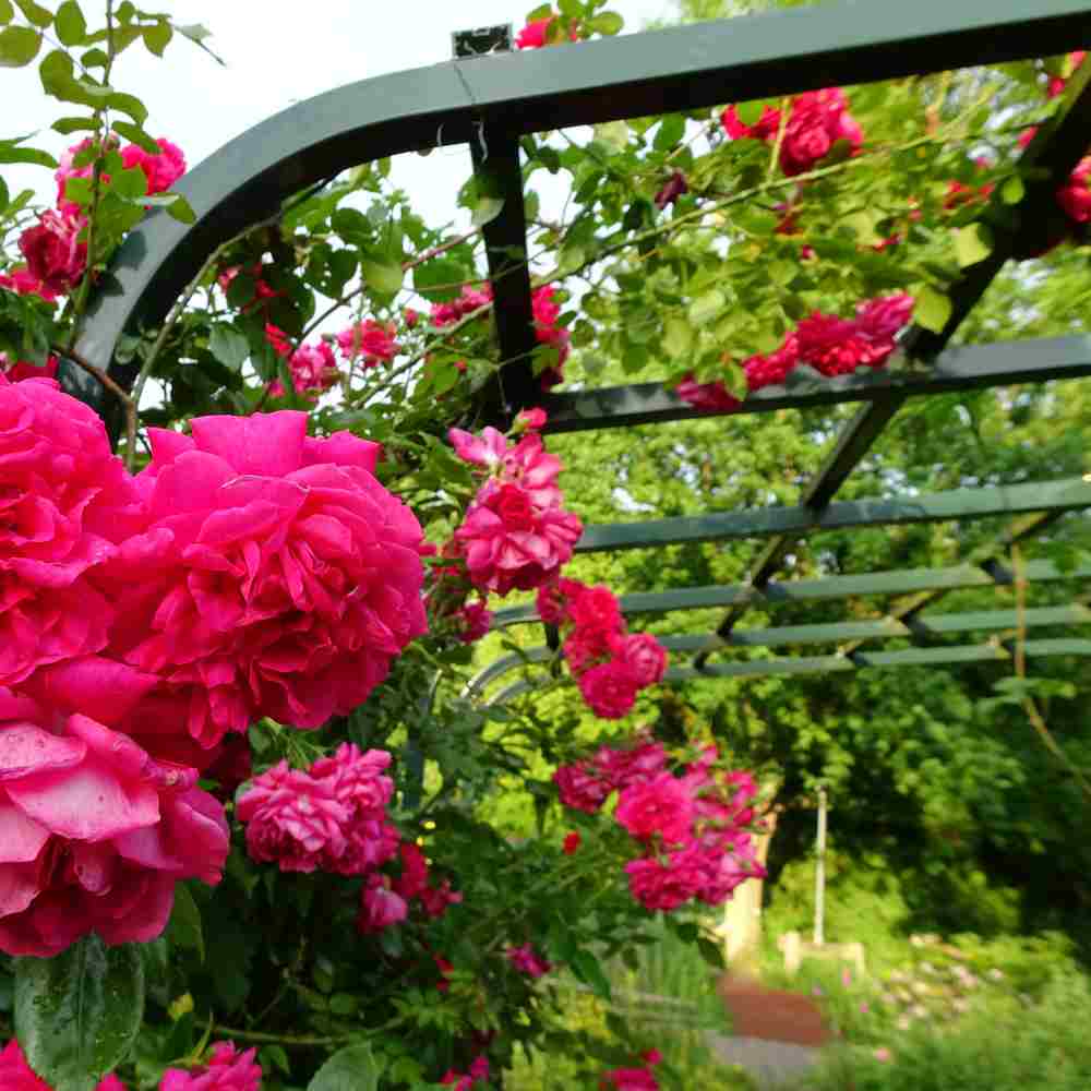 Artikelbild 2 des Artikels “Bogenkonstruktion über DecoGard Konfigurator “