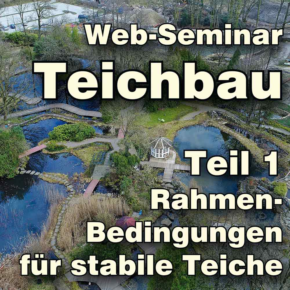 Artikelbild 2 des Artikels “Web-Seminar Teichbau “