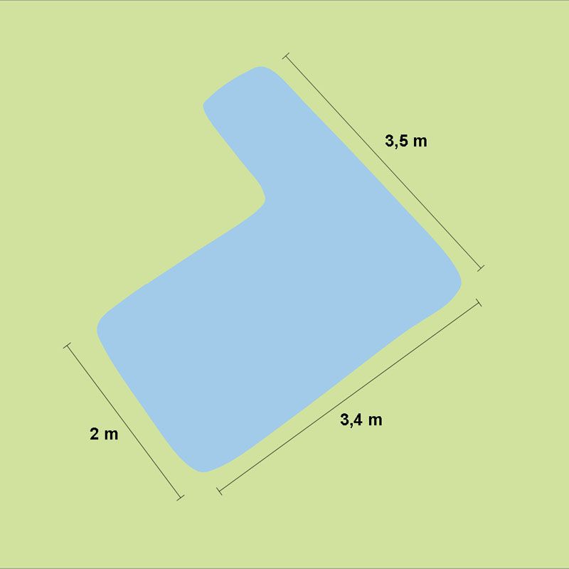 Artikelbild 2 des Artikels “Naturteich 
