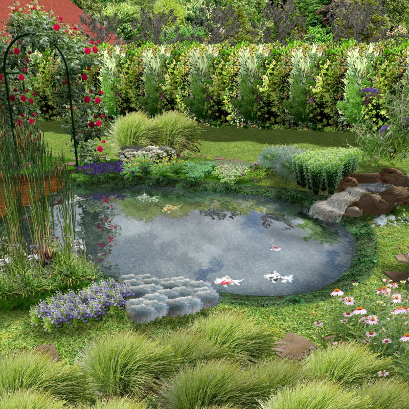 Artikelbild 2 des Artikels “Kleinfisch-Teich, preiswerte Bauweise “