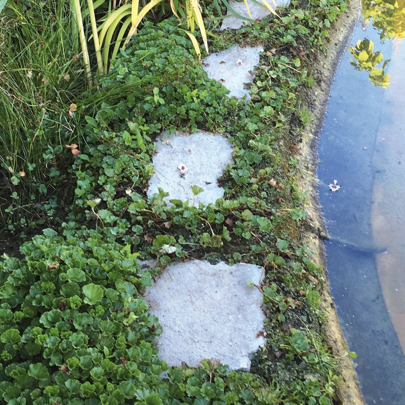 Artikelbild 3 des Artikels “Pflanzschlauch 100 mm, 10 m “